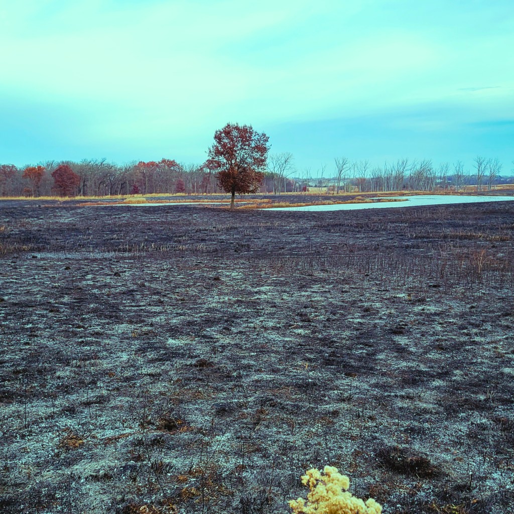 and this one for the&nbsp;unreasonable